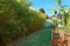 19 Gemalong Place, Glenmore Park, NSW 2745-Image