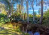 19 George Street, Old Bar, NSW 2430-Image
