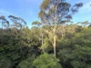 19 Gleneagles Crescent, Hornsby, NSW 2077-Image