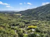 19 Grays Creek Terrace, Mowbray, Qld 4877-Image