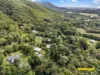 19 Grays Creek Terrace, Mowbray, Qld 4877-Image