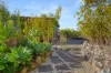 19 Greendale Close, Nowra Hill, NSW 2540-Image