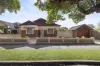 19 Griffiths Street, Ashfield, NSW 2131