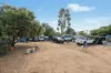 19 Grosvenor Street, Narrandera, NSW 2700-Image