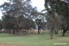 19 Hale Street, Narrogin, WA 6312-Image