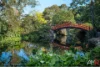 19 Harkness Avenue, Keiraville, NSW 2500-Image