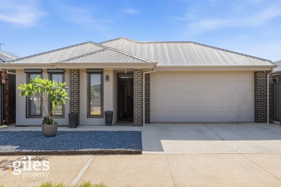 19 Hatcher Road, Munno Para Downs, SA 5115