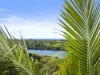 19 Hibiscus Parade, Banora Point, NSW 2486-Image