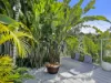 19 Hibiscus Parade, Banora Point, NSW 2486-Image