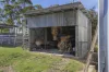 19 Hills Road, Pipers Brook, Tas 7254-Image