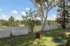 19 Holwell Circuit, Raymond Terrace, NSW 2324-Image