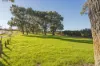 19 Homestead Drive, Clarkson, WA 6030-Image