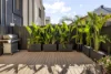 19 Interlaken Avenue, Manor Lakes, Vic 3024-Image