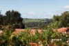 19 Jackson Avenue, West Ulverstone, Tas 7315-Image