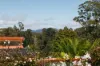 19 Jackson Avenue, West Ulverstone, Tas 7315-Image