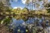 19 Jamie Avenue, Curra, Qld 4570-Image