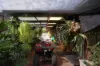 19 Kenton Way, Rockingham, WA 6168-Image