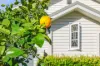 19 Kerr Avenue, Southport, Qld 4215-Image
