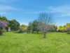19 King View Court, Kingston, Tas 7050-Image