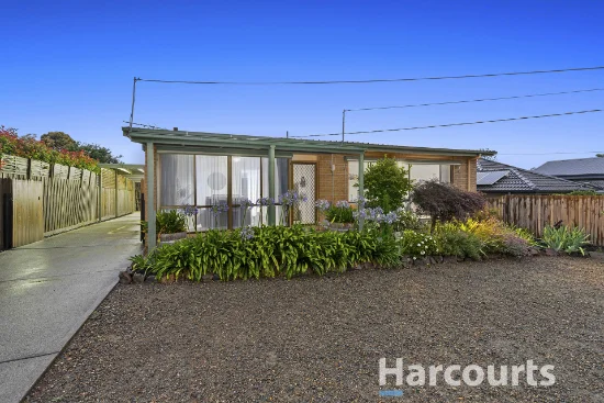 19 Kingston St, Ferntree Gully, Vic 3156