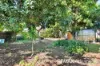 19 Lalroy Street, Beachmere, Qld 4510-Image