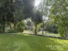 19 Langton Avenue, Mareeba, Qld 4880-Image