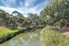 19 Lasscock Avenue, Lockleys, SA 5032-Image