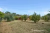 19 Lawnbrook Road, Walliston, WA 6076-Image