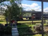 19 Lillian Avenue, Ellesmere, Qld 4610-Image
