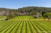 19 Loaring Road, Bickley, WA 6076-Image