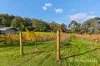 19 Loaring Road, Bickley, WA 6076-Image