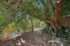 19 Lobelia Drive, Darlington, WA 6070-Image