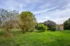 19 Lorimer Road, Naracoorte, SA 5271-Image