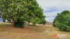19 Macdonalds Lane, Struck Oil, Qld 4714-Image