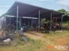 19 Macdonalds Lane, Struck Oil, Qld 4714-Image