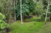 19 Mary Street, Blackstone, Qld 4304-Image