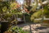 19 Mcallan Avenue, Burnside, SA 5066-Image