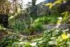 19 Mcallan Avenue, Burnside, SA 5066-Image