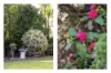 19 Melaleuca Place, Taree, NSW 2430-Image