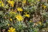 19 Midden Road, Primrose Sands, Tas 7173-Image