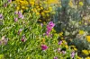 19 Midden Road, Primrose Sands, Tas 7173-Image
