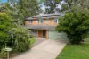 19 Middleton Avenue, Castle Hill, NSW 2154-Image