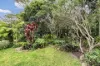 19 Moonah Avenue, Charlestown, NSW 2290-Image