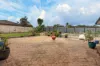 19 Morgan Street, Ingleburn, NSW 2565-Image