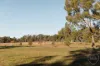 19  Moruya Circuit, Kaleen, ACT 2617-Image