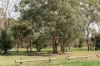19  Moruya Circuit, Kaleen, ACT 2617-Image