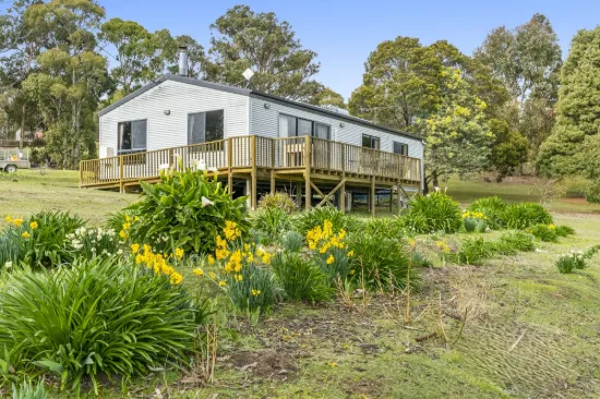 19 Mountain Pl, Molesworth, Tas 7140