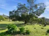 19 Mountain Pl, Molesworth, Tas 7140-Image