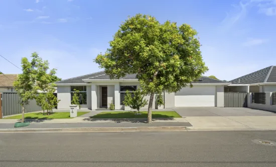 19 Neston Avenue, Plympton, SA 5038