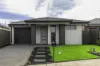 19 Opal Street, Cobblebank, Vic 3338